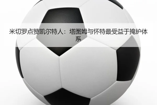 米切罗点赞凯尔特人：塔图姆与怀特最受益于掩护体系